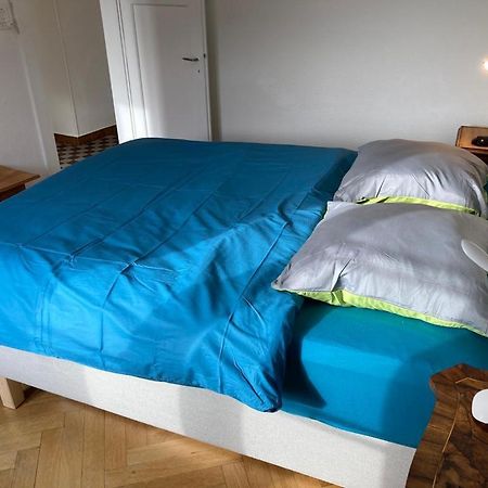 Joli 2 Pieces Dernier Etage, Lausanne Centre المظهر الخارجي الصورة