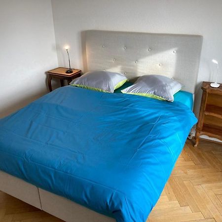 Joli 2 Pieces Dernier Etage, Lausanne Centre المظهر الخارجي الصورة