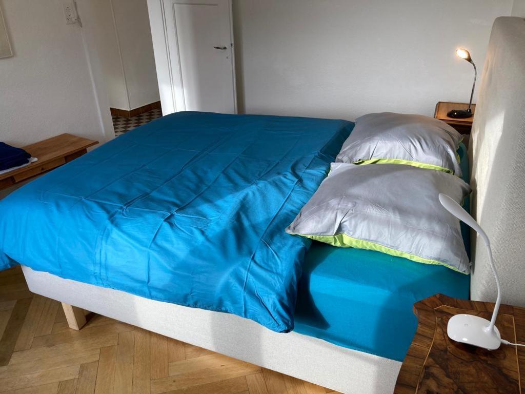 Joli 2 Pieces Dernier Etage, Lausanne Centre المظهر الخارجي الصورة