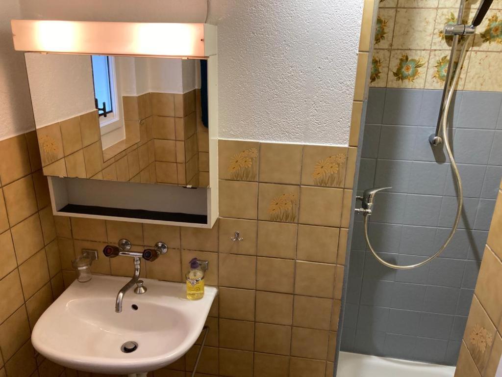 Joli 2 Pieces Dernier Etage, Lausanne Centre المظهر الخارجي الصورة