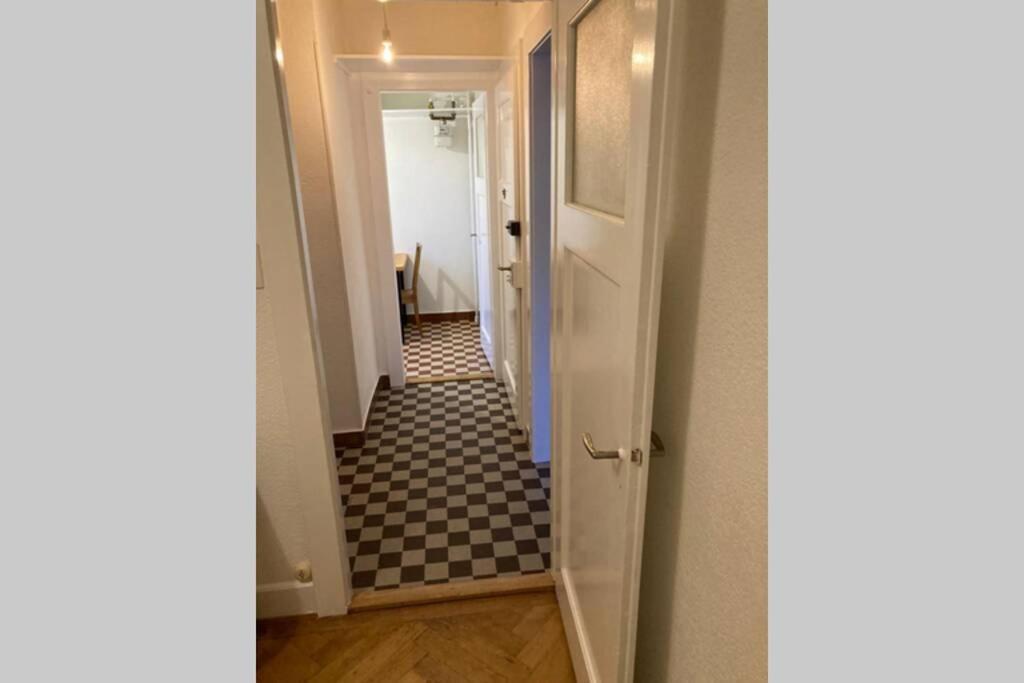 Joli 2 Pieces Dernier Etage, Lausanne Centre المظهر الخارجي الصورة