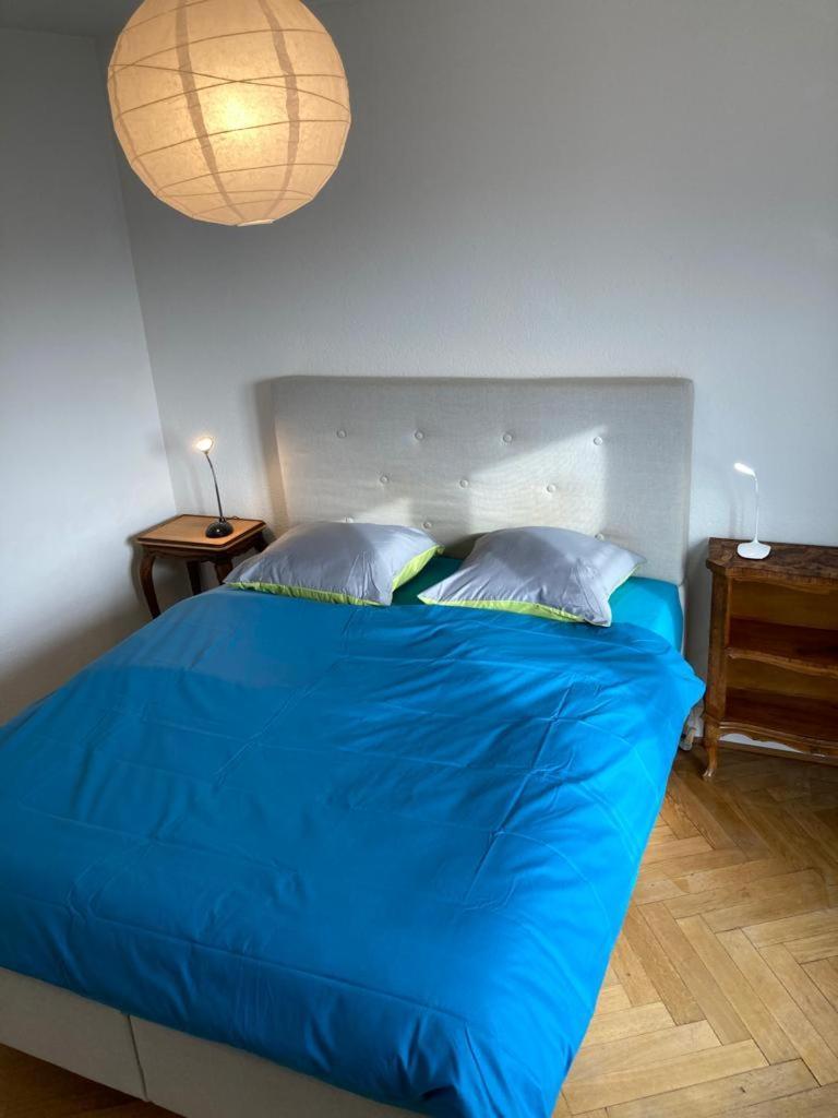 Joli 2 Pieces Dernier Etage, Lausanne Centre المظهر الخارجي الصورة