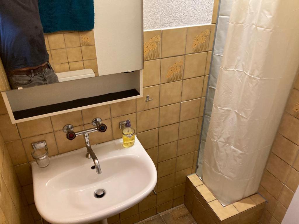 Joli 2 Pieces Dernier Etage, Lausanne Centre المظهر الخارجي الصورة