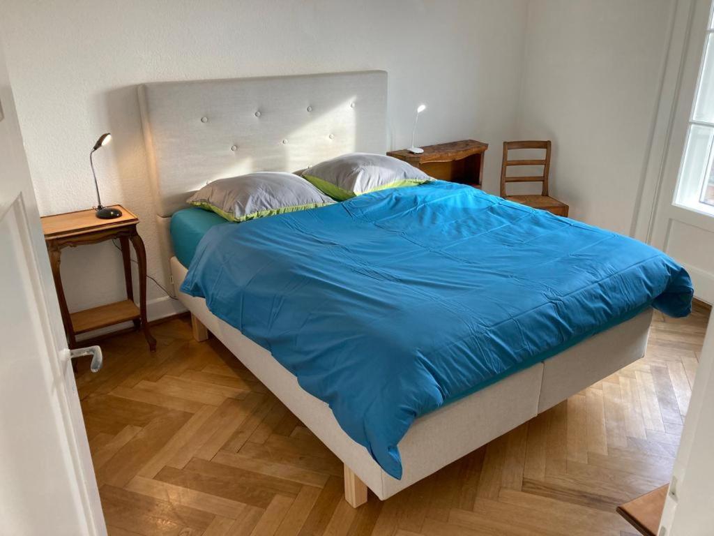 Joli 2 Pieces Dernier Etage, Lausanne Centre المظهر الخارجي الصورة